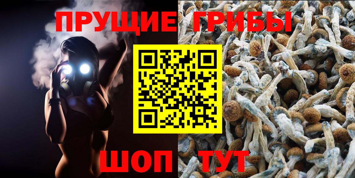 Галлюциногенные грибы Magic Shrooms  Вход с VPN  Калач-на-Дону 